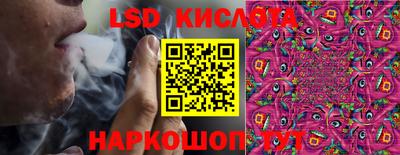 прущие крисы Можга