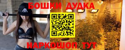 прущие крисы Можга