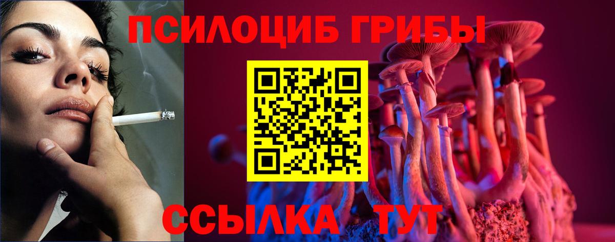 Псилоцибиновые грибы мухоморы  Псилоцибиновые грибы GOLDEN TEACHER  Вход с VPN  что такое наркотик  Реж 
